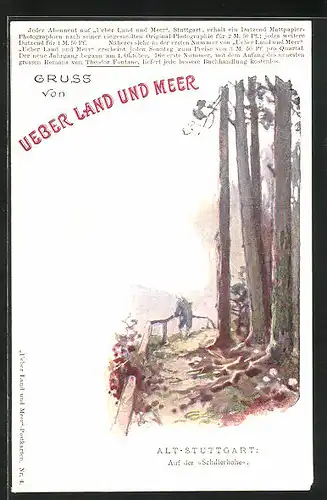 AK Alt-Stuttgart, Partie auf der Schillerhöhe, Zeitung Ueber Land und Meer