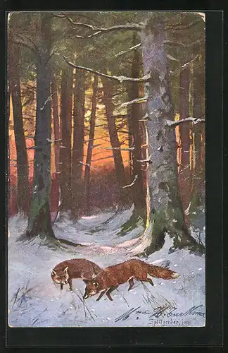 Künstler-AK August Splitgerber: zwei Füchse auf Futtersuche im schneebeckten Wald