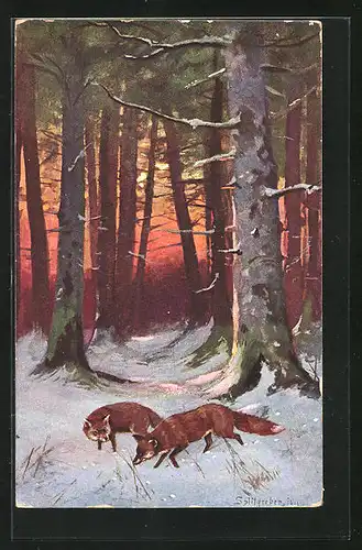 Künstler-AK August Splitgerber: zwei Füchse auf Futtersuche im schneebeckten Wald