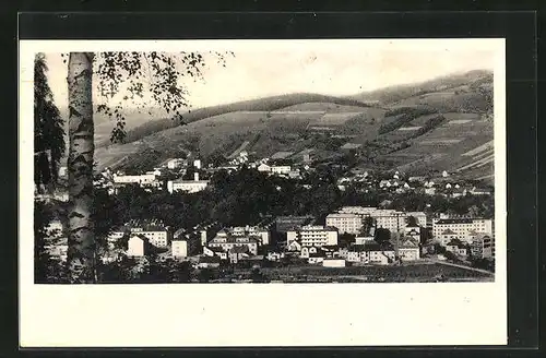 AK Vsetin, Partie am Waldrand mit Stadttotale