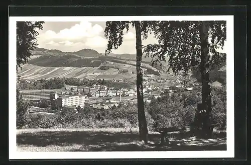 AK Vsetin, Blick vom Waldrand hinab auf die Stadt und die Fabrikanlagen