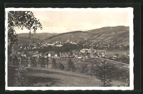 AK Vsetin, Generalansicht mit dem Schloss