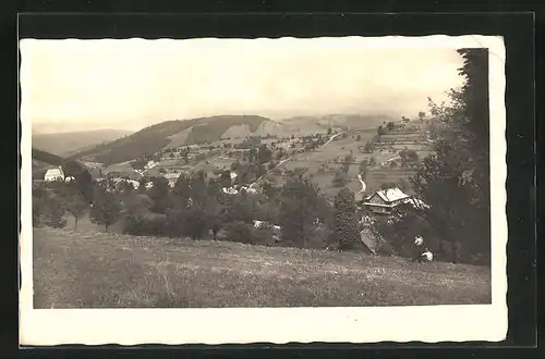 AK Zdechov na Valassku, Blick von den Wiesen ins Tal auf die Siedlung