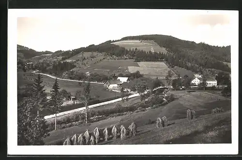 AK Gross Karlowitz, Arbeit auf dem Feld, Blick auf die Strasse durch das Tal