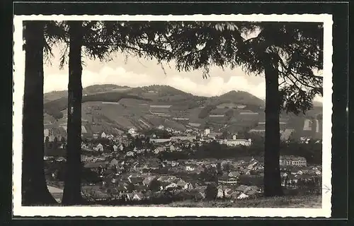 AK Vsekin, Stadttotale, Partie am Waldrand