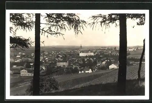 AK Wagstadt, Generalansicht der Stadt
