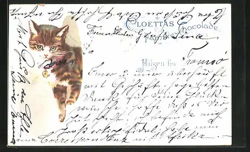 AK Cloettas Chocolade, niedliches Kätzchen mit Glocke am Halsband