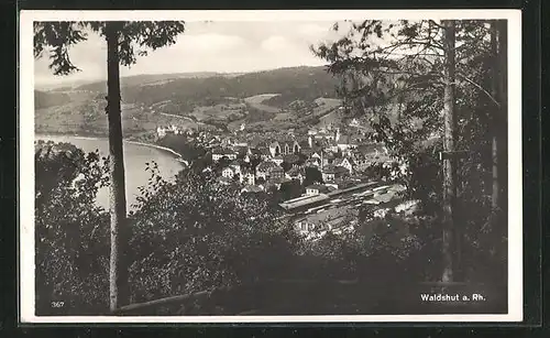 AK Waldshut a. Rh., Totalansicht