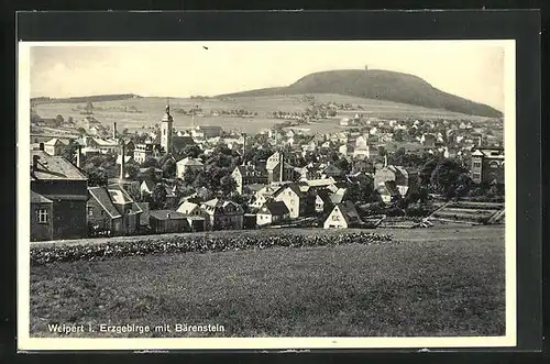 AK Weipert / Erzgeb., Ortsansicht mit Bärenstein