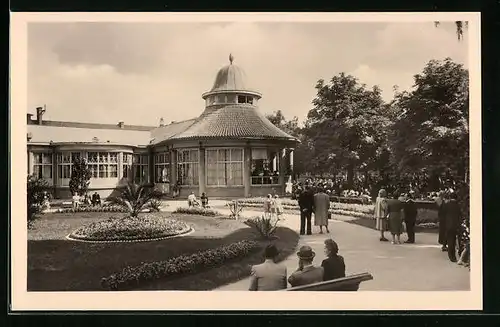 AK Bad Podiebrad / Podebrady, Fucikuv park
