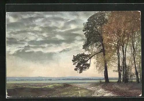 Künstler-AK Photochromie Nr. 2054: Feld mit Waldweg im Herbst