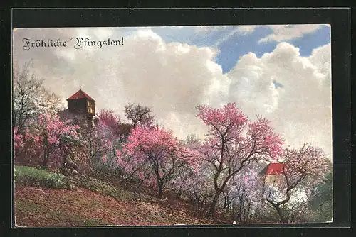 Künstler-AK Photochromie Nr. 4496: Blühende Kirschbäume mit Burg im Hintergrund