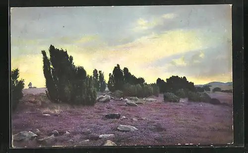 Künstler-AK Photochromie Nr. 2481: Heidelandschaft im Abenddämmer