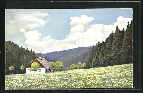 Künstler-AK Photochromie Nr. 2: Rehefeld /Sachsen, Gasthaus Erholungs- und Sportheim Jägerhof im Schwarzwassertal