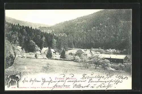 AK St. Andreasberg /Harz, Oberförsterei Oderhaus