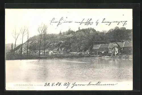 AK Liebenburg /Harz, Ortsansicht mit Burg vom Wasser aus