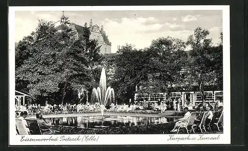 AK Pretzsch / Elbe, Kurpark mit Kursaal