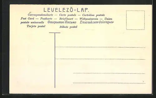 Präge-AK Ungarn, Briefmarken und Wappen