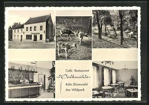 AK Köln-Dünnwald, Cafe-Restaurant Walkmühle von Karl Schlebusch