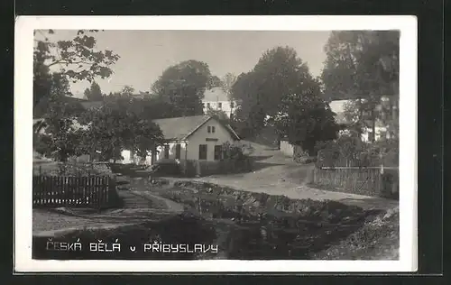 AK Pribyslav, Ceská Belá