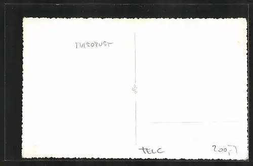 Foto-AK Telc, Verkleidete Menschengruppe