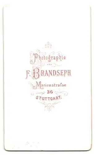 Fotografie F. Brandseph, Stuttgart, Marienstrasse, junge Dame mit Kragenbrosche u. Amulett