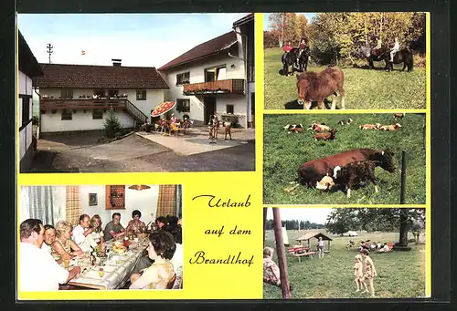 AK Kaining, Gasthaus Brandlhof, Ferien auf dem Bauernhof