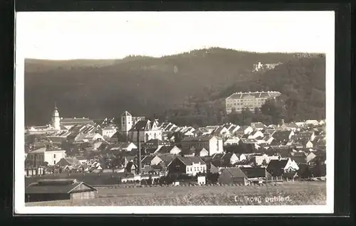 AK Boskovice, Panorama