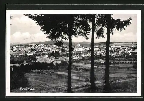 AK Boskovice, Panorama