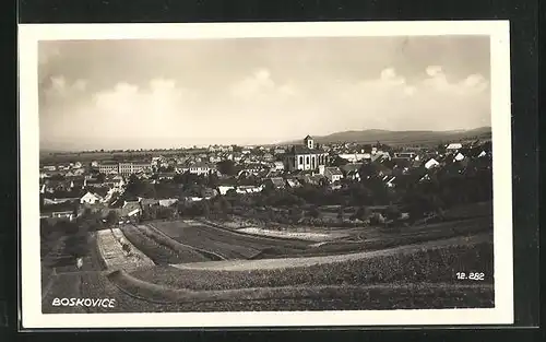 AK Boskovice, Panorama