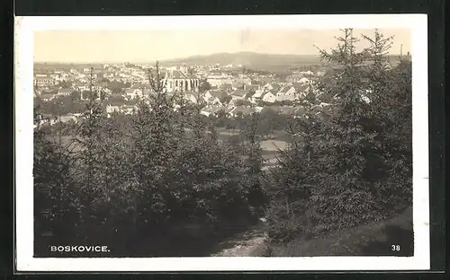 AK Boskovice, Panorama