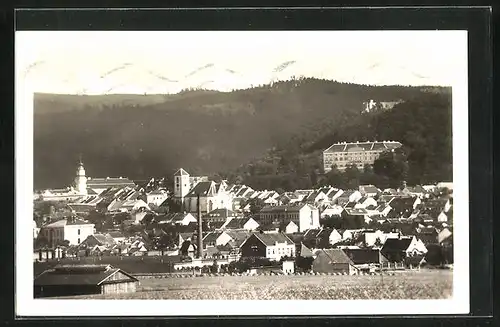 AK Boskovice, Panorama