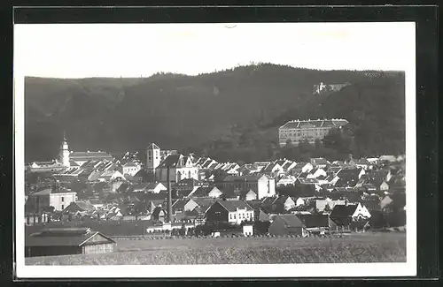 AK Boskovice, Panorama