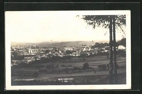 AK Boskovice, Panorama