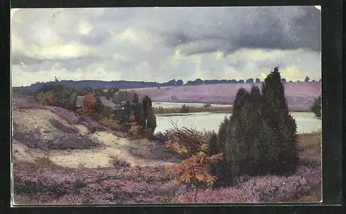 Künstler-AK Photochromie Nr. 2480: Uferlandschft mit Bäumen