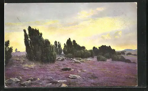 Künstler-AK Photochromie Nr. 2481: Landschaft mit Büschen