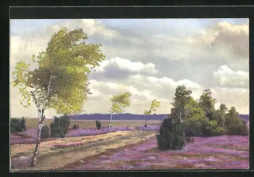 Künstler-AK Photochromie Nr. 3103: Landschaft mit Büschen und Birken