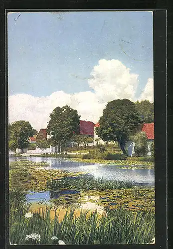 Künstler-AK Photochromie Nr. 4121: Uferpartie mit Bäumen