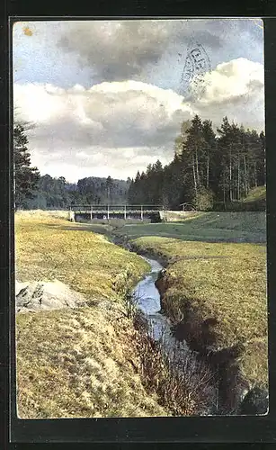 Künstler-AK Photochromie Nr. 2730: Uferpartie mit Brücke