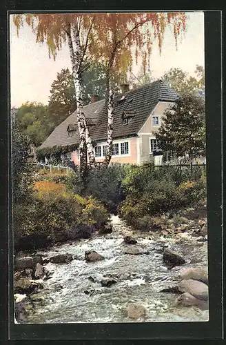 Künstler-AK Photochromie Nr. 2665: Uferpartie mit Haus und Birken, Riesengebirge