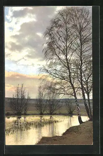 Künstler-AK Photochromie Nr. 2729: Uferlandschaft mit Bäumen