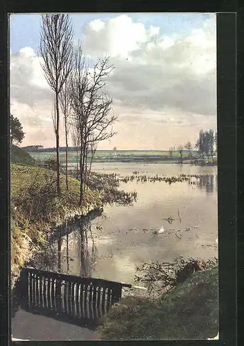 Künstler-AK Photochromie Nr. 2161: Uferlandschaft mit Bäumen