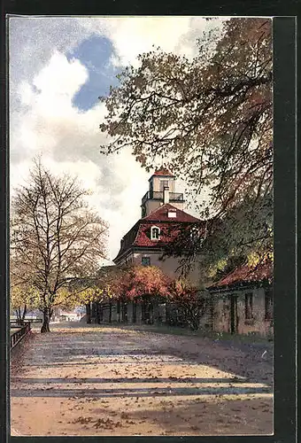 Künstler-AK Photochromie Nr. 4170: Strassenpartie mit Gebäudeansicht und Bäumen