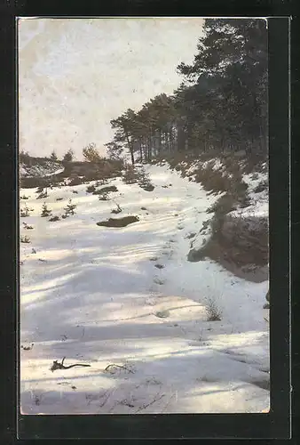 Künstler-AK Photochromie Nr. 2087: Winterlandschaft mit Bäumen