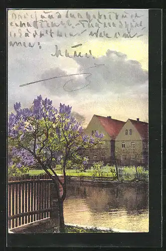 Künstler-AK Photochromie Nr. 4901: Uferpartie mit Baum