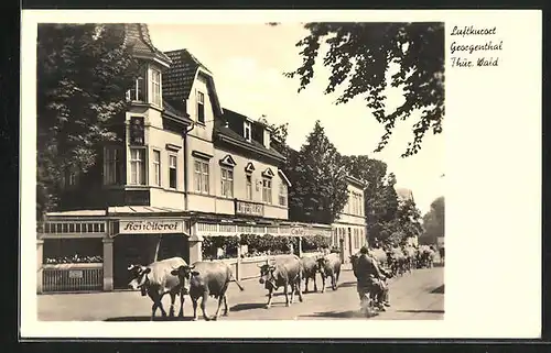 AK Georgenthal /Thür. Wald, Strassenpartie mit Konditorei und Viehtrieb