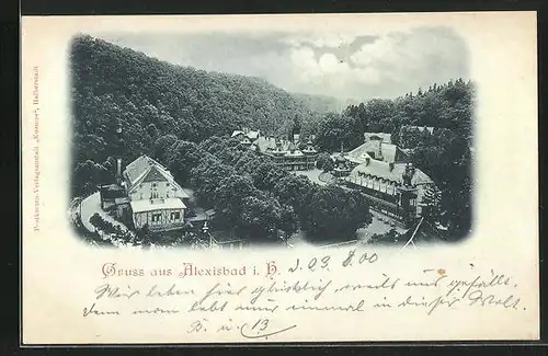 Mondschein-AK Alexisbad i. H., Gasthaus aus der Vogelschau