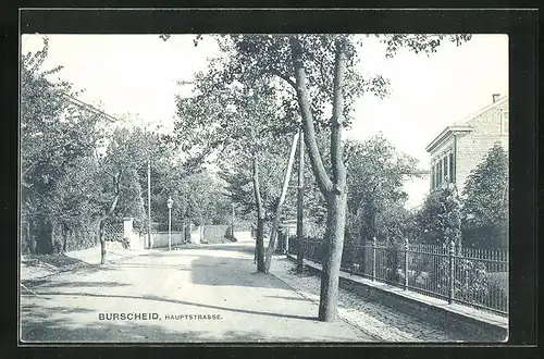 AK Burscheid, Hauptstrasse mit Bäumen