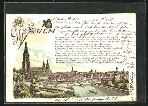 Lithographie Ulm, Stadt-Panorama mit Brücke und Münster