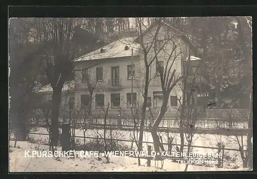 AK Kaltenleutgeben, K. Purschke`s Cafe Wienerwald